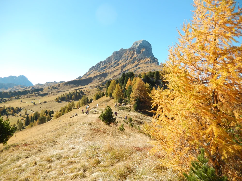 Hotel Antermoia | La vostra vacanza nel cuore delle Dolomiti
