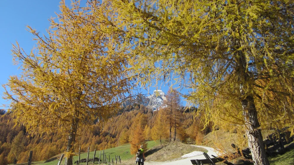 Hotel Antermoia | La vostra vacanza nel cuore delle Dolomiti