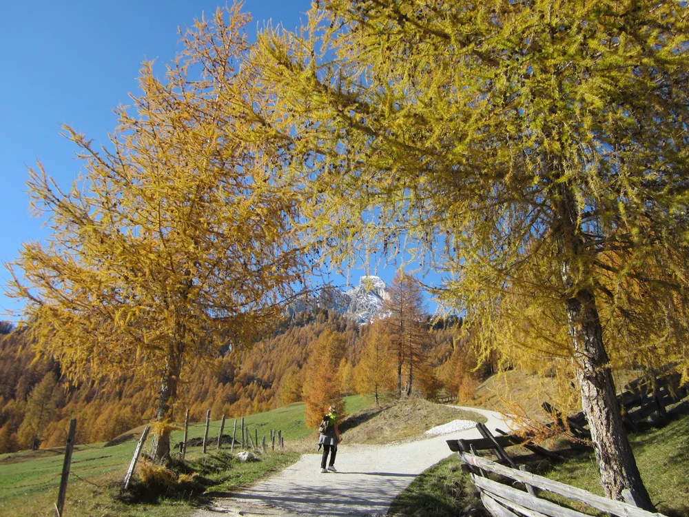 Hotel Antermoia | La vostra vacanza nel cuore delle Dolomiti